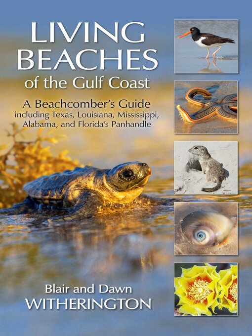 Title details for Living Beaches of the Gulf Coast by Blair Witherington - Available